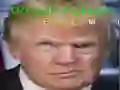 Igra Trump Zabavno Lice spletu Igra Trump Zabavno Lice spletu