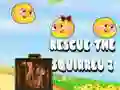 Igra Reši veverico 2 spletu Igra Reši veverico 2 spletu
