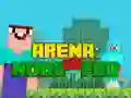Igra Arena: Noob proti Pro spletu