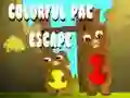 Igra Barviti Pac Pobeg spletu