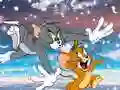 Igra Tom in Jerry: Tekmovalec spletu