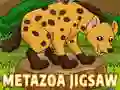 Igra Metazoa Sestavljanka spletu Igra Metazoa Sestavljanka spletu