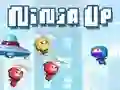 Igra Ninja Povišje spletu Igra Ninja Povišje spletu