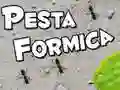 Igra Praznovanje Mravelj spletu Igra Praznovanje Mravelj spletu