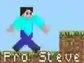 Igra Pro Steve spletu