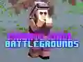 Igra Zasebna Pixel Bojišča spletu Igra Zasebna Pixel Bojišča spletu