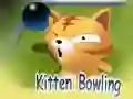 Igra Bowling s mucke spletu