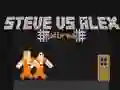 Igra Steve proti Alexu: Beg iz zapora spletu Igra Steve proti Alexu: Beg iz zapora spletu