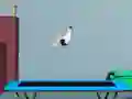 Igra Flip na Trampolinu spletu Igra Flip na Trampolinu spletu