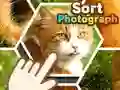 Igra Razvrsti fotografije spletu Igra Razvrsti fotografije spletu