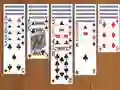 Igra Pajek Solitaire Pro spletu
