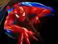 Igra Uganka Spider-Man spletu