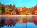 Igra Spletni Simulator Ribolova spletu