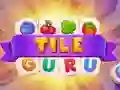 Igra Guru Pločk spletu