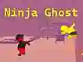Igra Ninja Duh spletu