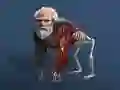 Igra Neaktivna Evolucija: Od Celice do Človeka spletu Igra Neaktivna Evolucija: Od Celice do Človeka spletu