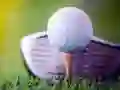 Igra Odprta Golf Izziv spletu