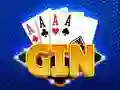 Igra Gin Rummy spletu Igra Gin Rummy spletu
