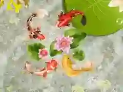 Igra Bazen s koi ribami spletu Igra Bazen s koi ribami spletu
