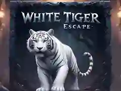 Igra Bežanje Bele Tigre spletu Igra Bežanje Bele Tigre spletu