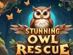 Igra Osupljivo reševanje sove spletu Igra Osupljivo reševanje sove spletu
