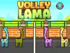 Igra Volley Lama spletu Igra Volley Lama spletu