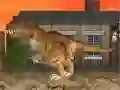 Igra LA Rex spletu