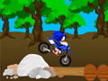 Igra Križna Sonic Dirka spletu