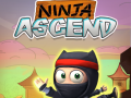 Igra Ninja Povišanje spletu