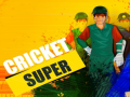 Igra Super Kriket spletu