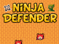 Igra Ninja Branilec spletu