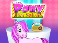 Igra Salon za Hišne Ljubimce Pony spletu