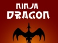 Igra Ninja Zmaj spletu