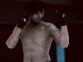 Igra MFS: MMA Borec spletu