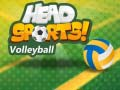 Igra Odbojka Head Sports spletu