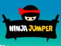 Igra Ninja Skakalen spletu