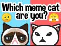 Igra Katera meme mačka si? spletu