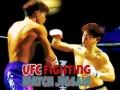 Igra UFC Borbena Tekma Sestavljanka spletu