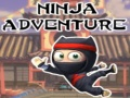 Igra Ninja Pustolovščina spletu