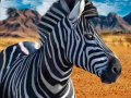 Igra Lovec na zebre spletu