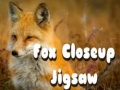 Igra Sestavljanka lisice od blizu spletu