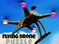 Igra Letalo Dron Puzzle spletu