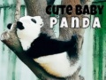 Igra Ljubka dojenčka panda spletu