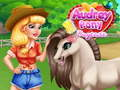 Igra Vrtec Pony Audrey spletu