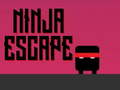 Igra Ninja pobeg spletu