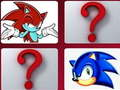 Igra Sonic Izziv Spomina spletu