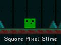 Igra Kvadratni Pixel Slime spletu