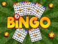 Igra Bingo Razkrit spletu