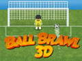 Igra Borba z Žogami 3D spletu