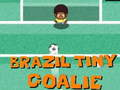 Igra Brazilija Mali Vratar spletu